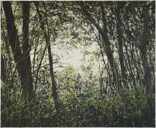 Wulf Winckelmann: Dickicht/Unterholz