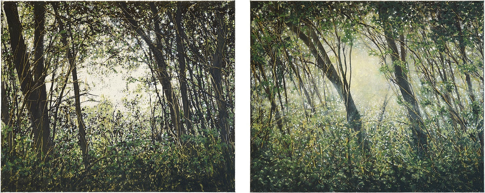 Wulf Winckelmann: Dickicht/Unterholz