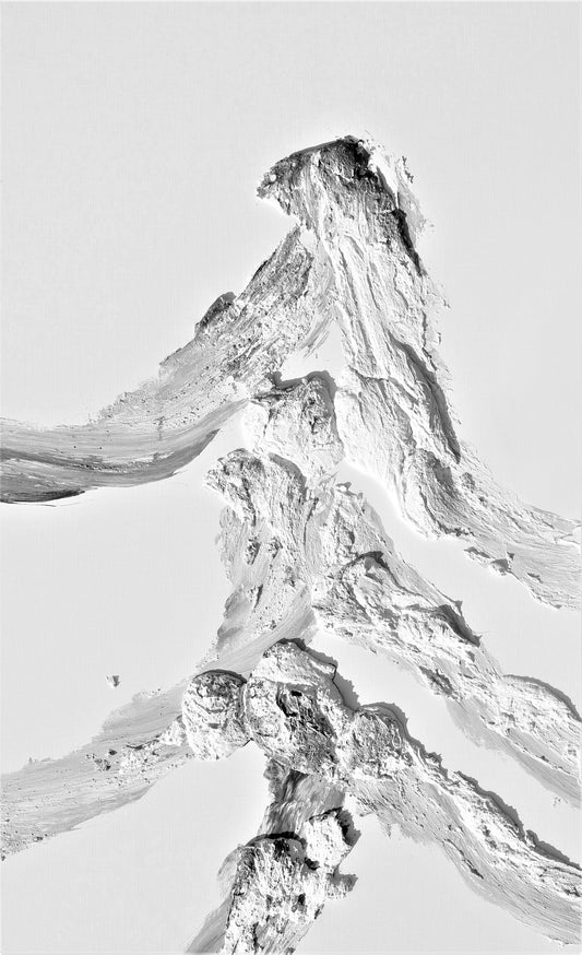 Jong Taek Woo: Memory of Origin