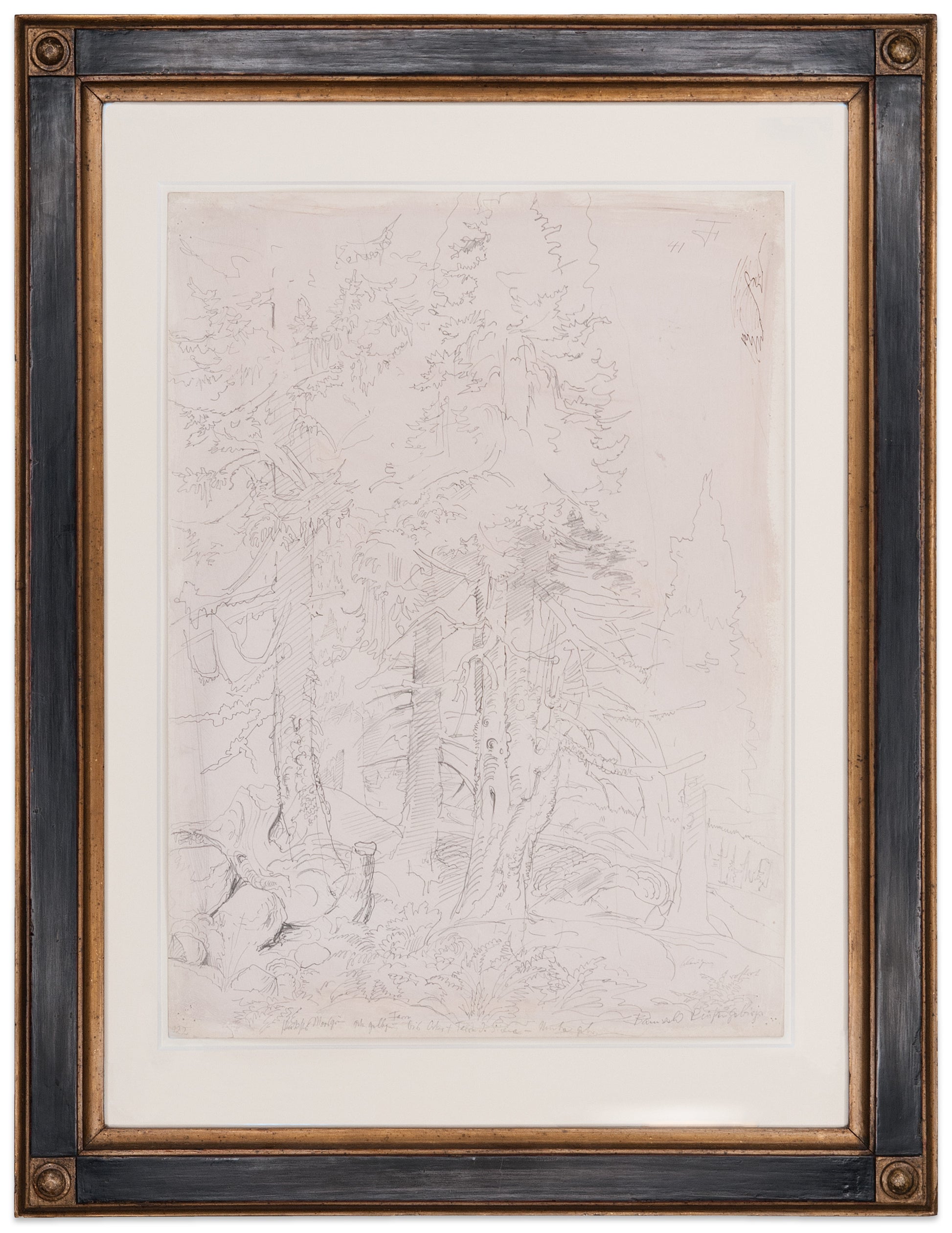 Otto Dix: Bannwald Riesengebirge (Krkonoše Forest)