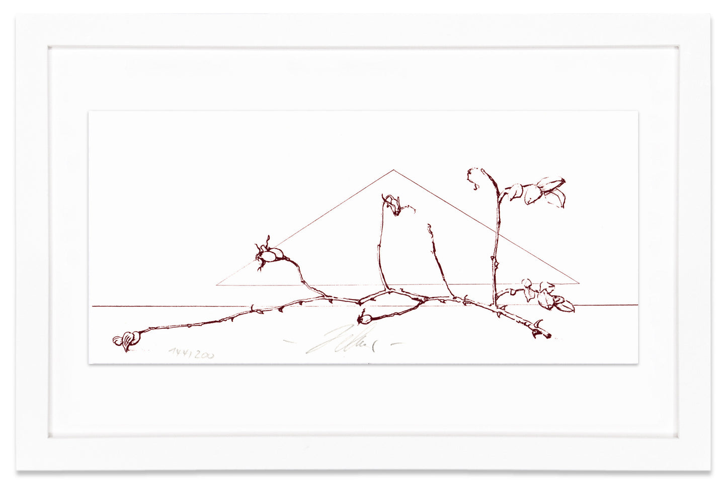 Wolfgang Zelmer: Hagebuttenzweig (Rosehip branch)