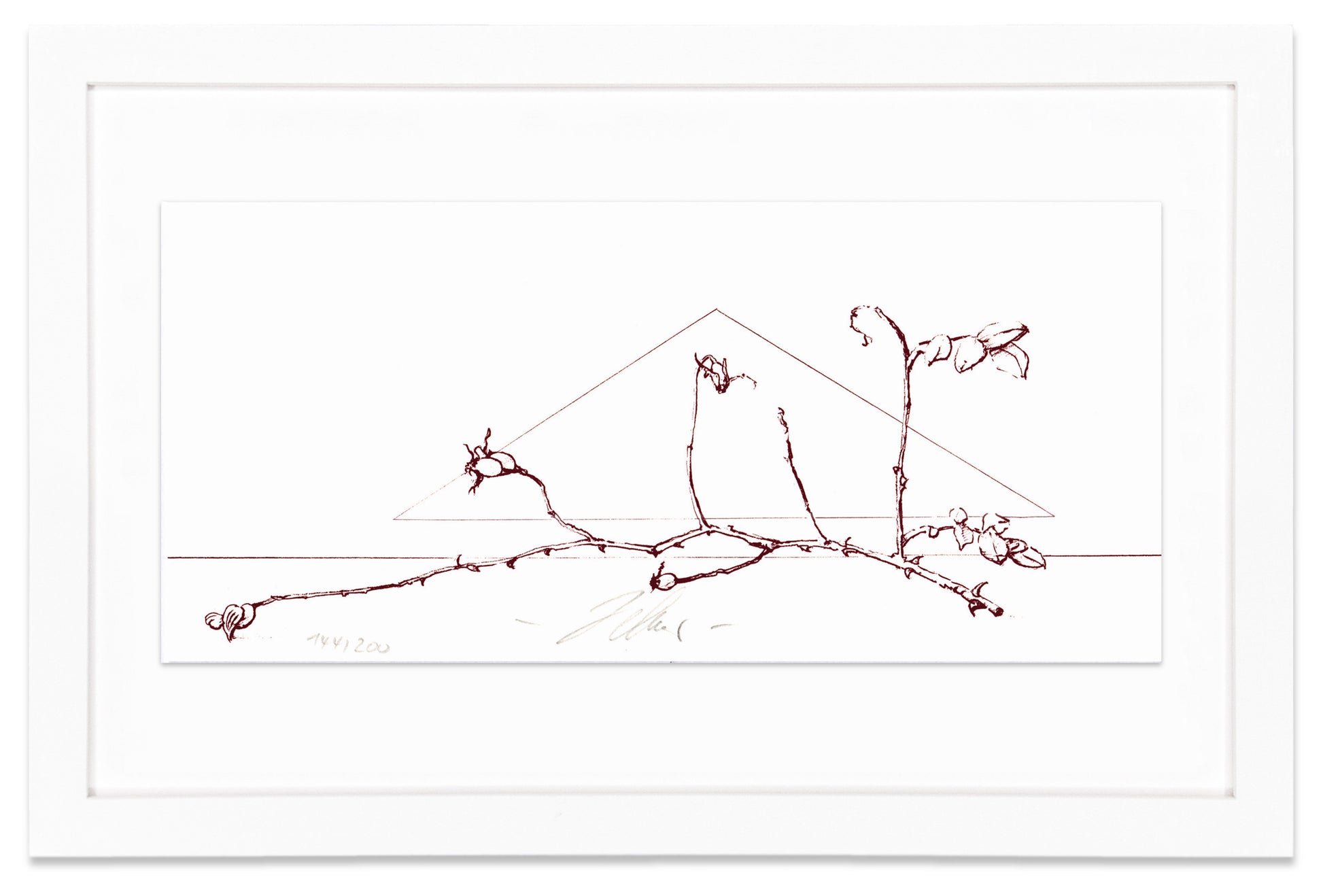 Wolfgang Zelmer: Hagebuttenzweig (Rosehip branch)