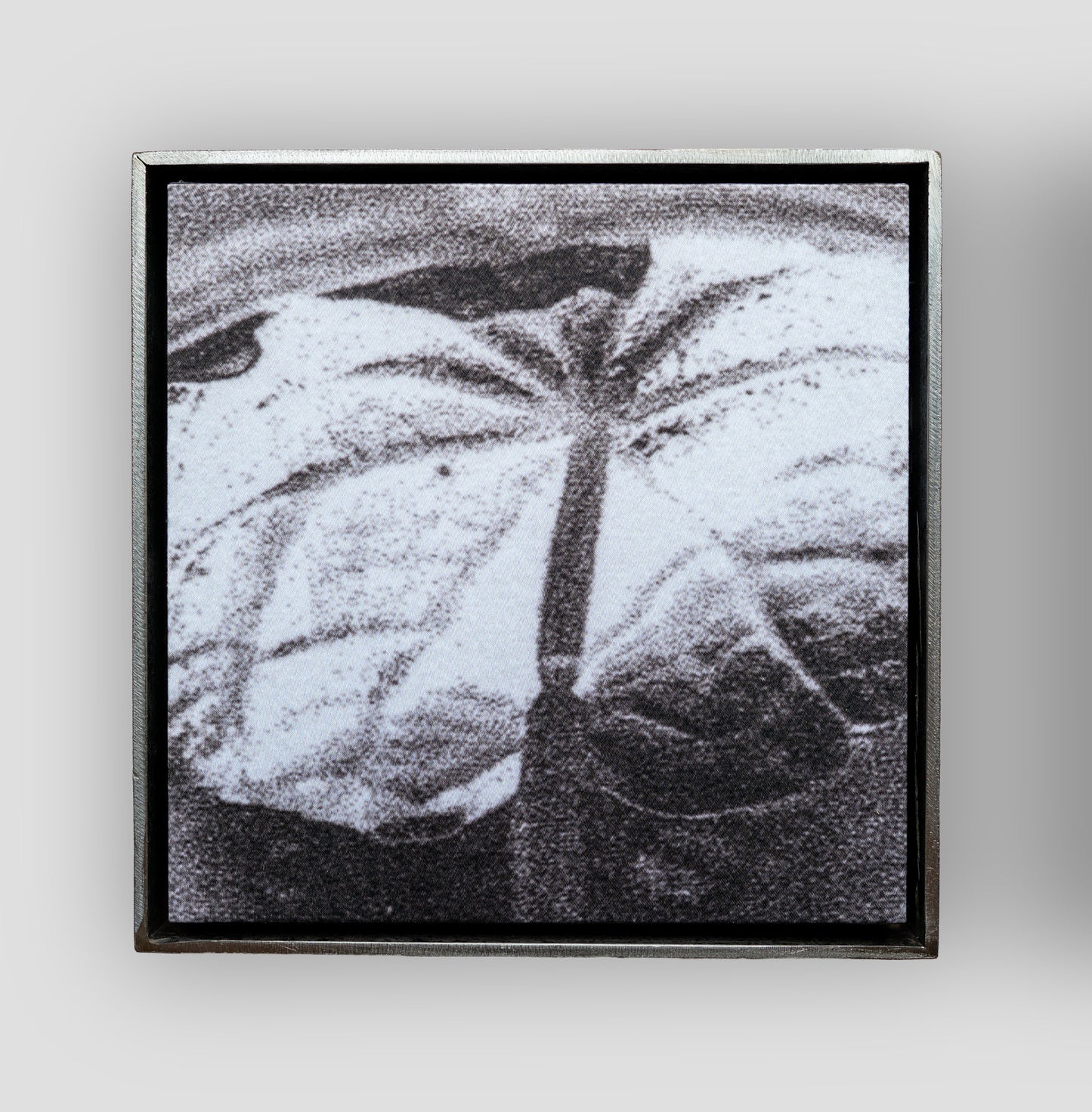 Emmi Heckel: Tauchglocke VII