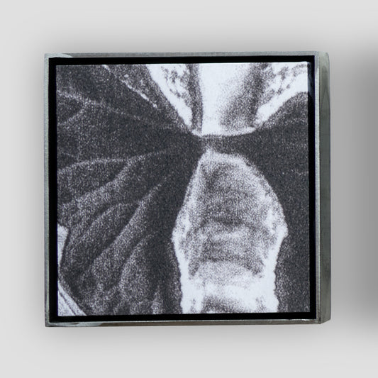 Emmi Heckel: Tauchglocke I