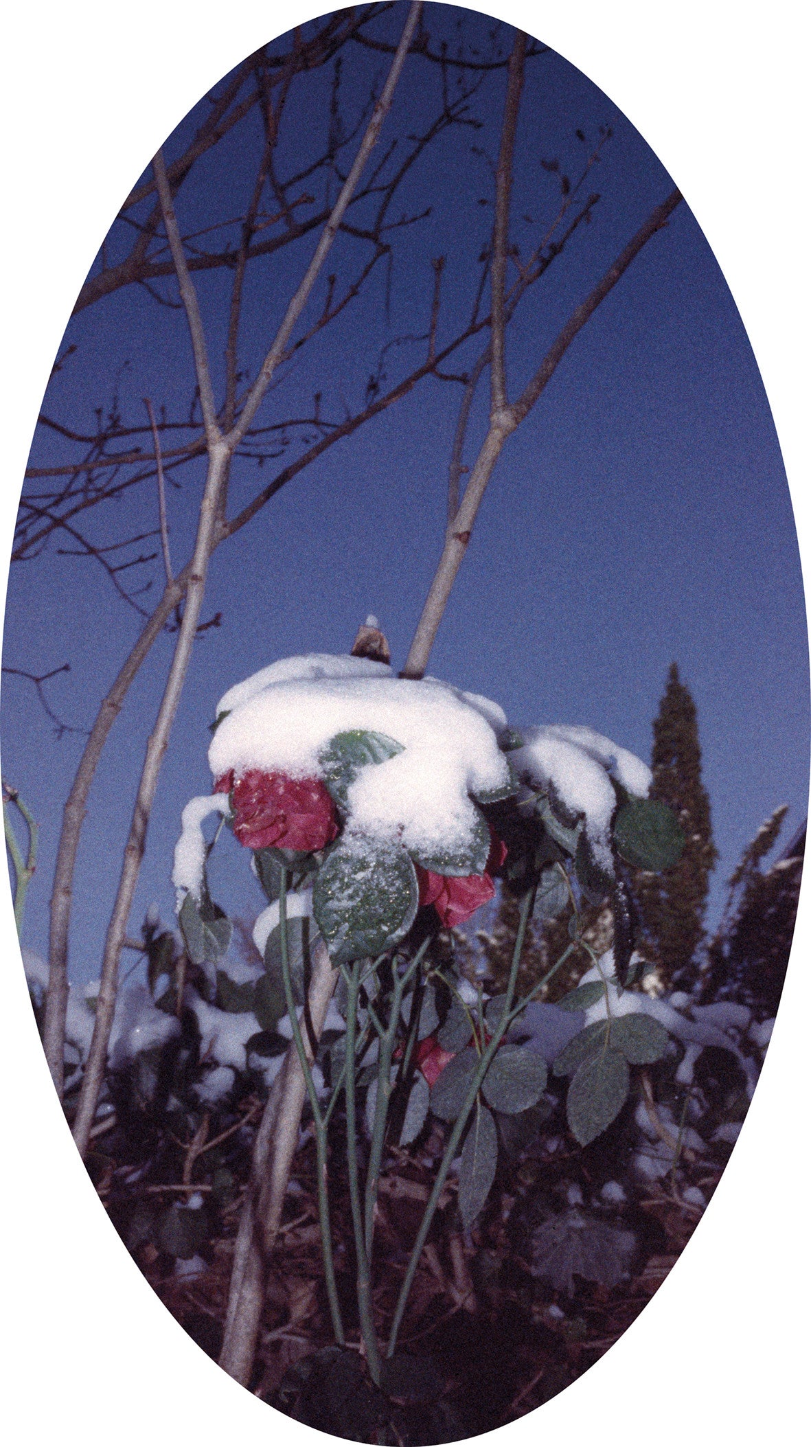 Emmi Heckel: Schneewittchen
