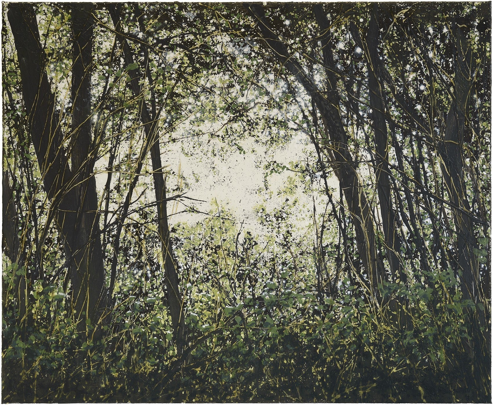 Wulf Winckelmann: Dickicht/Unterholz