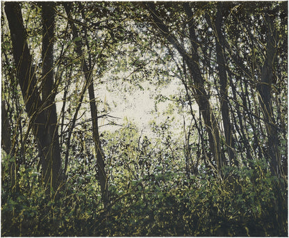 Wulf Winckelmann: Dickicht/Unterholz