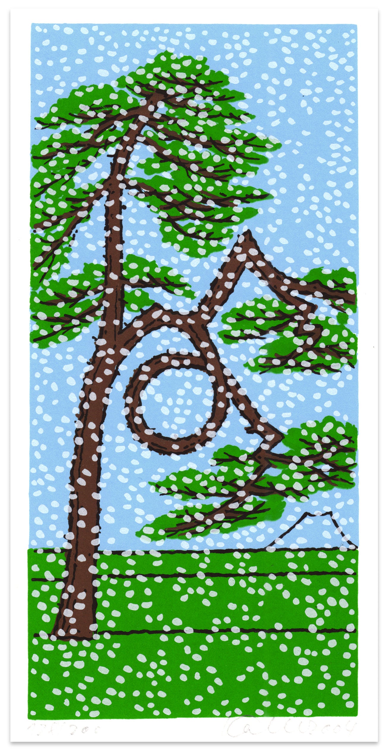 Udo Kaller: Glückskiefer im Schnee (Lucky pine in the snow)