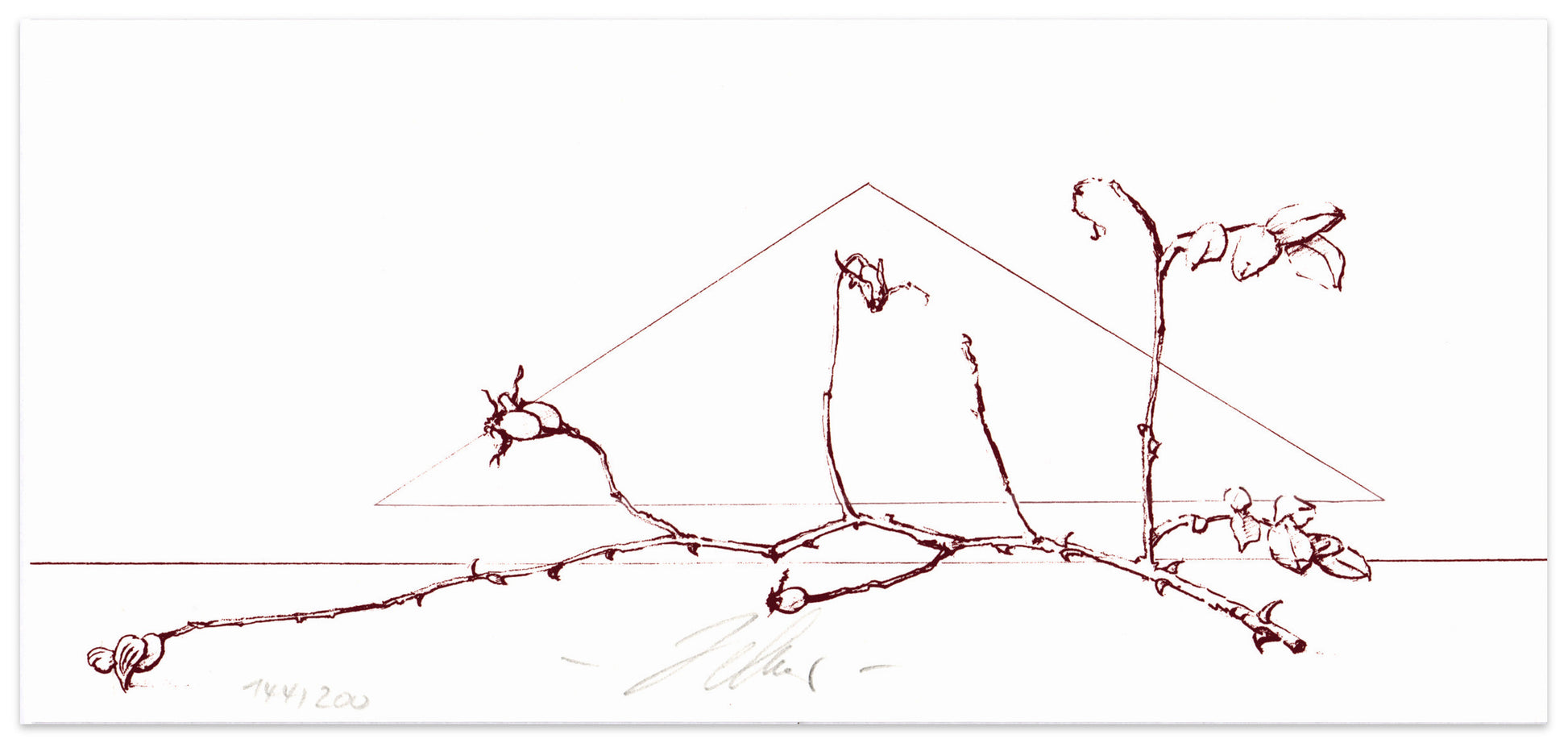 Wolfgang Zelmer: Hagebuttenzweig (Rosehip branch)