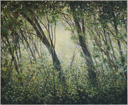 Wulf Winckelmann: Dickicht/Unterholz